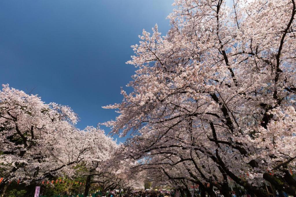 Hotel Bougainvillea Minowa Tokyo Luaran gambar